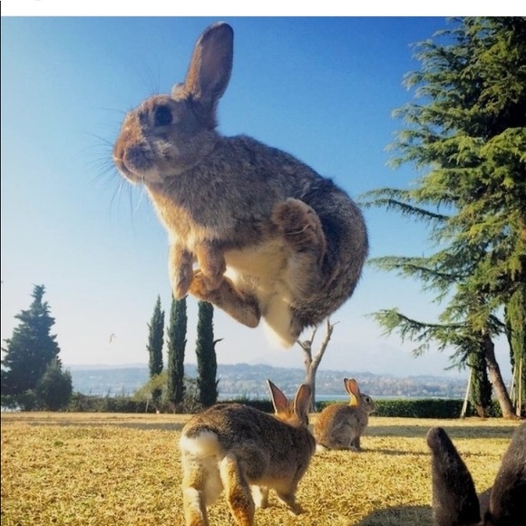 Meet your Posher, Teresa - Picture 12 of 16